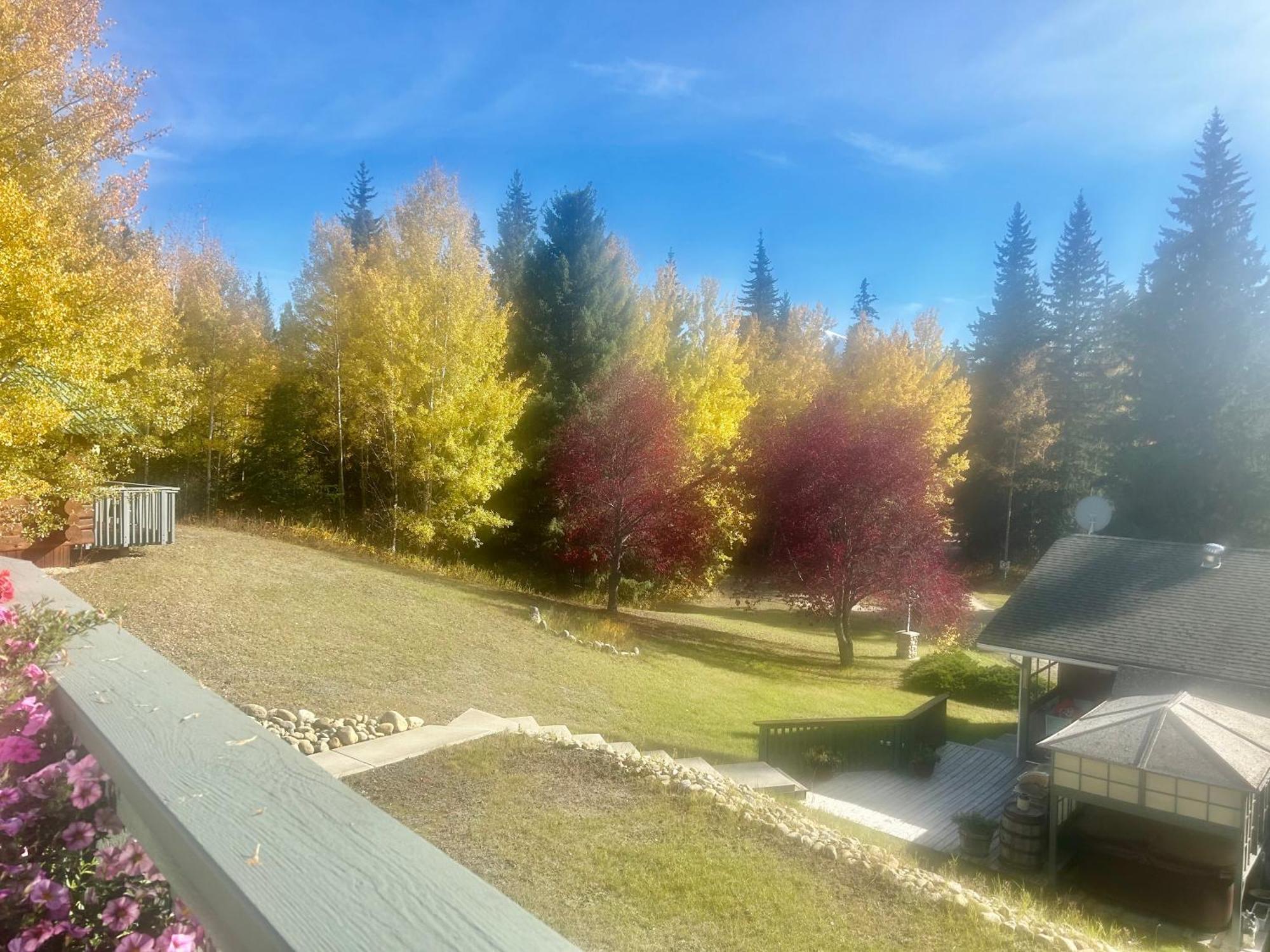 Dream Catcher Inn Valemount Buitenkant foto