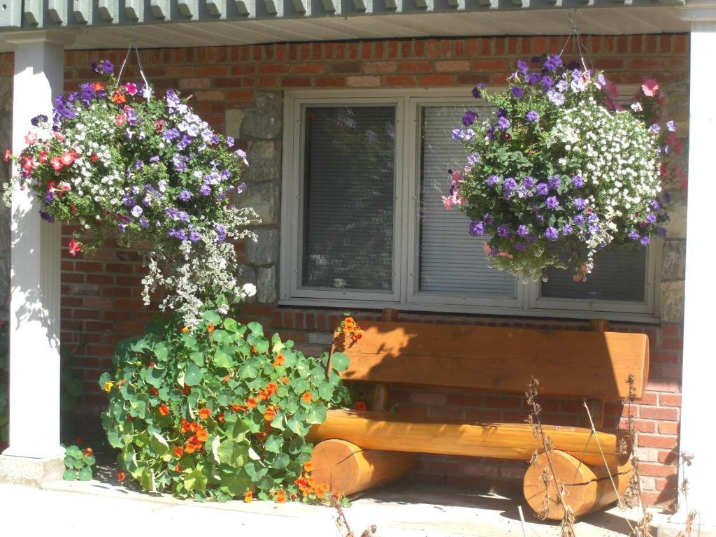 Dream Catcher Inn Valemount Buitenkant foto